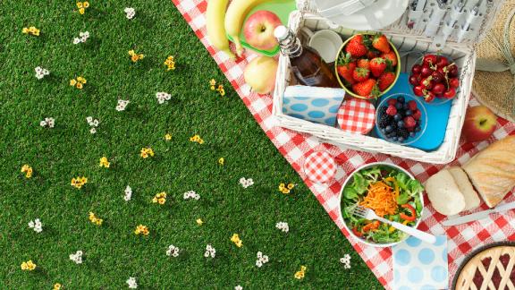 Food spread across a picnic blanket on the grass